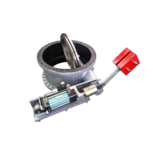 Butterfly check valve