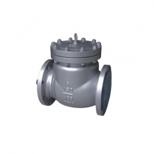 Check valve