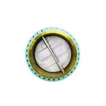 Dual plate check valve