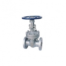 GATE VALVE WCB
