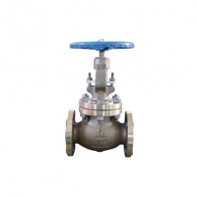 GLOBE VALVE DN 50- DN300