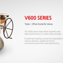 Triple Offset Butterfly Valve