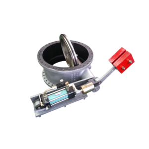 Butterfly check valve