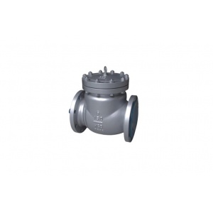 Check valve