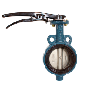 Concentric butterfly valve