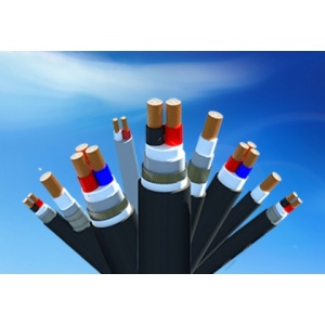 DÂY VÀ CÁP ĐIỆN LỰC HẠ THẾ