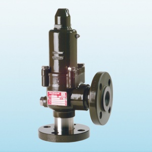 safety valves 10000-small
