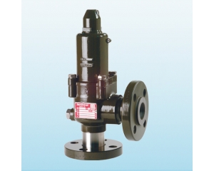 safety valves 10000-small